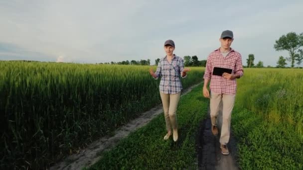 Un par de jóvenes agricultores caminan por un camino rural entre campos de trigo — Vídeos de Stock