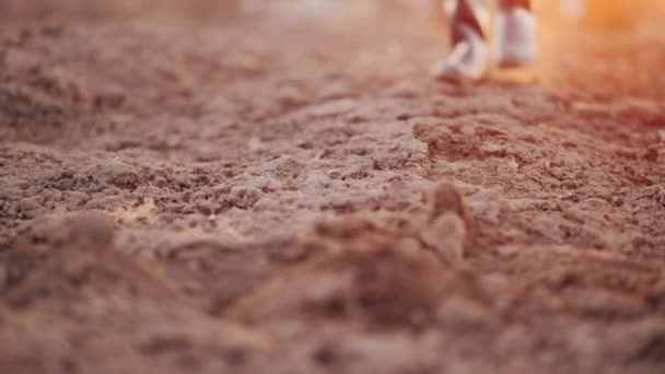 Çizmeli bir çiftçi sürülmüş bir tarlada yürür, sadece bacaklar çerçevede görünür. — Stok video
