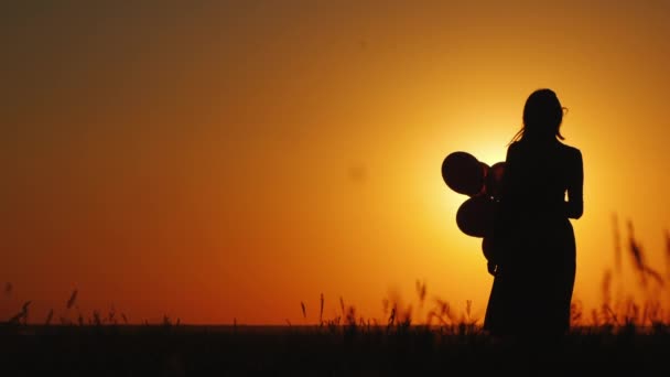 Дитина біжить до мами. На тлі прекрасного пейзажу на заході сонця — стокове відео
