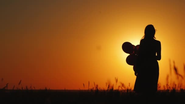 A child runs to his mom. Against the backdrop of a beautiful landscape at sunset — Stock Video