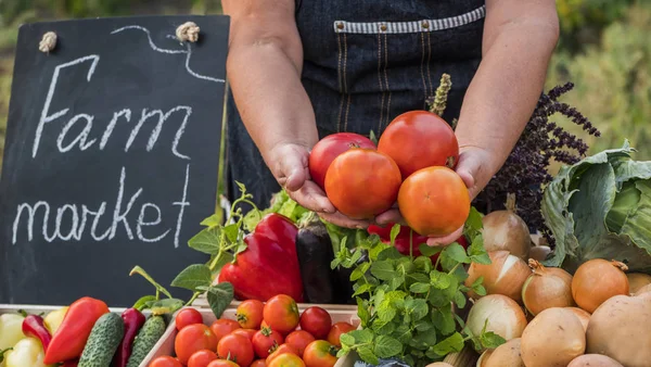 Venditore al mercato degli agricoltori vende pomodori — Foto Stock