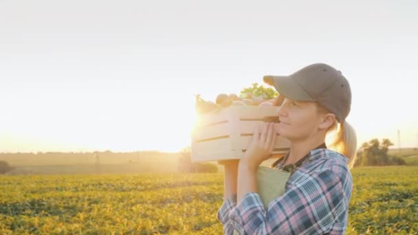 Una joven agricultora lleva una caja de madera de verduras a través del campo — Vídeo de stock