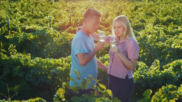 Ζευγάρι στην αγάπη δοκιμάζοντας κρασί στον αμπελώνα. Ξενάγηση — Αρχείο Βίντεο