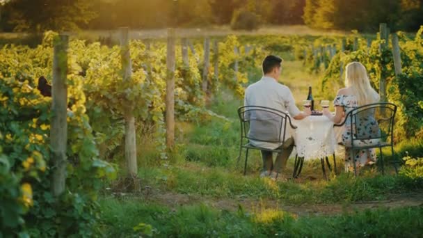 Genç çoklu etnik çiftler şarap tadımlı üzüm bağında romantik bir yerde yemek yiyorlar. — Stok video