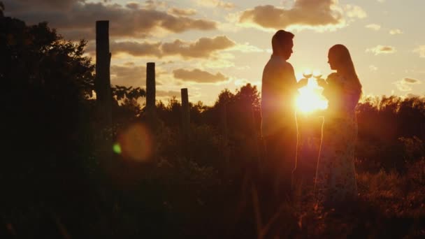 若いカップルのシルエットは、ブドウ畑の中で絵のように美しい場所で日没時にワインを味わう — ストック動画
