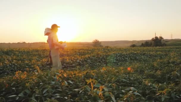 Zijaanzicht van een jonge mannelijke boer loopt langs het veld met een twee kratten verse groenten. — Stockvideo