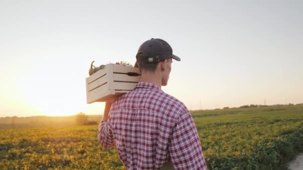 Vista trasera de Un joven granjero camina por el campo con una caja de verduras frescas. Steadicam tiro — Vídeo de stock