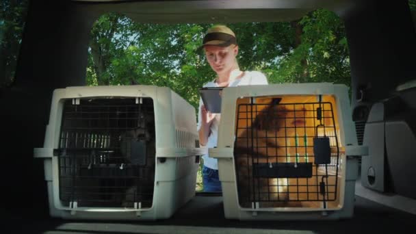 Eine Frau benutzt eine Tablette, steht im Kofferraum eines Autos, in dem sich Zellen mit Welpen befinden. Verkauf und Lieferung von Haustieren — Stockvideo