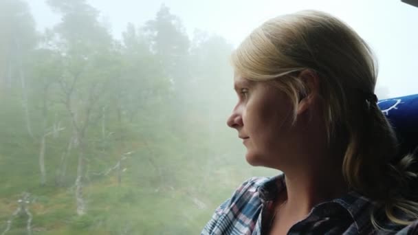 Un passager d'autobus regarde la forêt dans le brouillard — Video