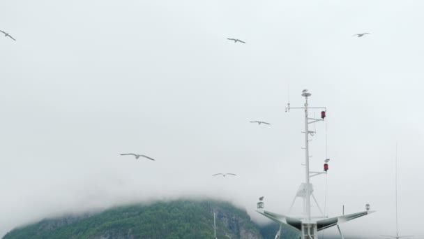 Las gaviotas vuelan y se sientan en el mástil de la nave. Crucero de fiordos en Noruega — Vídeos de Stock