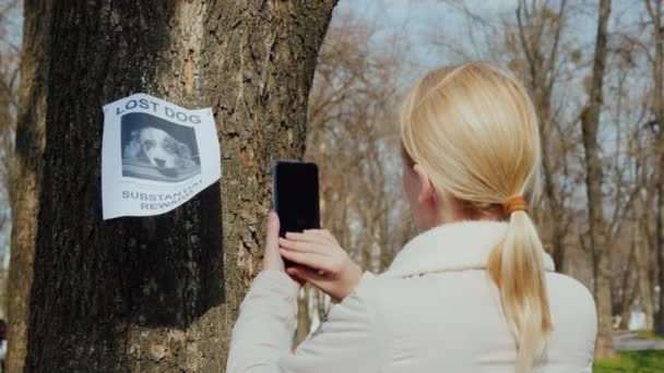 Женщина фотографирует объявление о пропавшем питомце — стоковое видео