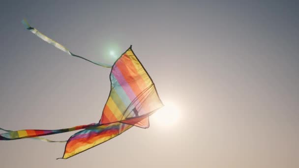 Солнце освещает воздушного змея, парящего в небе — стоковое видео