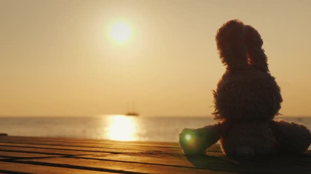 A toy hare looks at a ship in a case in the sea — 비디오