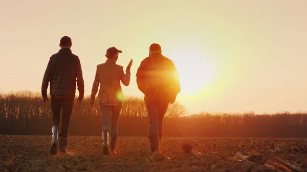 Drie boeren gaan op een geploegd veld bij zonsondergang. Jong team van boeren — Stockfoto