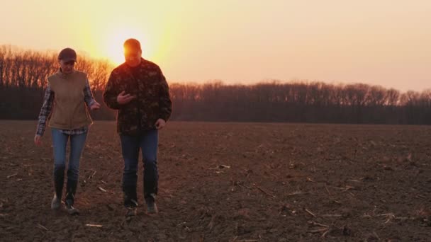 Een man en een vrouwelijke boer lopen over het veld, pratend — Stockvideo