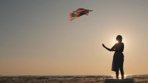 Side view - silhouette of a young woman with a kite — Stock Video