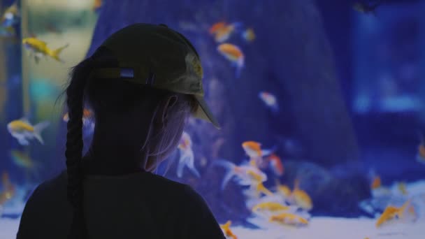 Back view: little girl looking at a huge aquarium with sea fishes. Inspiration and impressions concept — Stock Video