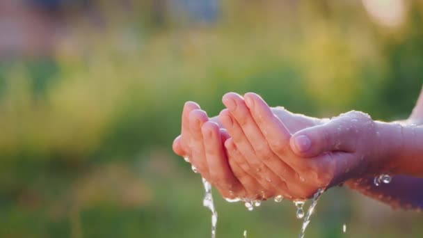 L'eau coule dans les paumes humaines ouvertes. Les éclaboussures s'envolent efficacement au soleil — Video