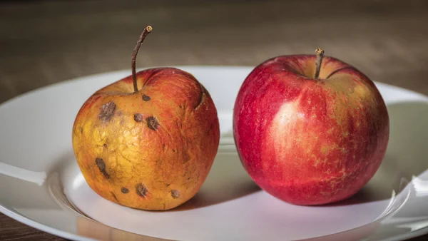 Свіжі і зіпсовані яблука лежать поруч на тарілці — стокове фото