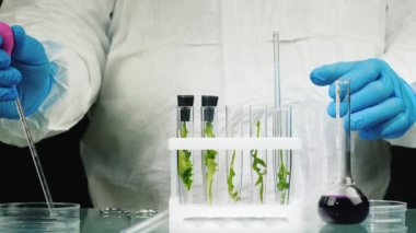Test tüplerini bitkilerle makroskoplamak, ilacını ekliyor. Genetik modifikasyon kavramı