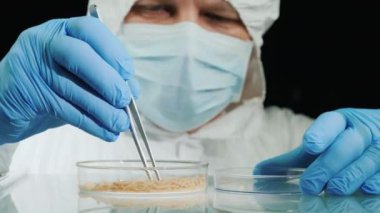 Laboratuvarda kurtçuklarla çalışan bir araştırmacının portresi.