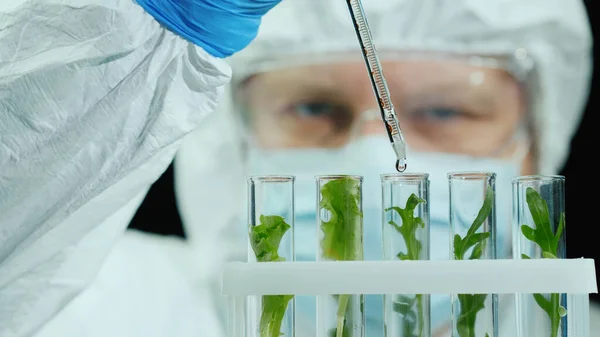 Cientista em macacão de proteção e óculos funciona em laboratório com amostras de plantas — Fotografia de Stock