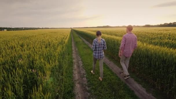En familie af landmænd går langs vejen mellem hvedemarker ved solnedgang – Stock-video