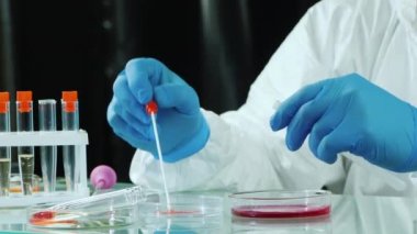 Laboratuvarda petri kabıyla numuneler üzerinde mikrobiyolojik inceleme yapan bir adam.