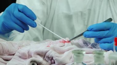 Dedektif giysilerdeki kanıtları inceliyor. Adli tıp kavramı