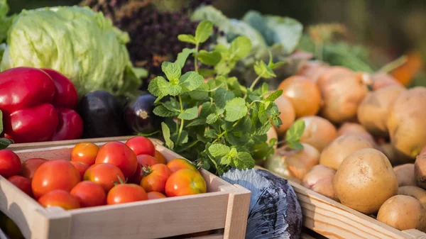 Counter with vegetables at the farmers market — Stock Photo, Image