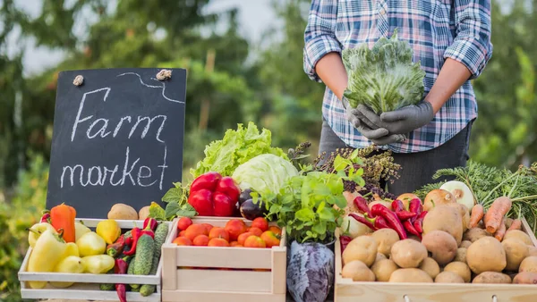 A swimmer on a farm rune holds a head of cabbage — Stock Photo, Image