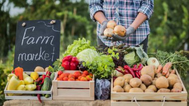 Çiftçilerin elleri tarım fuarında soğanlı