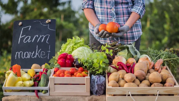 Boer heeft verschillende tomaten, staat aan de toonbank op een landelijke beurs — Stockfoto