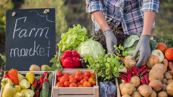 Boer legt groenten op de toonbank — Stockfoto