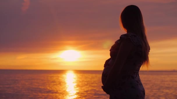 Silueta de una joven embarazada de pie en la orilla del mar sobre el telón de fondo de una hermosa puesta de sol — Vídeos de Stock