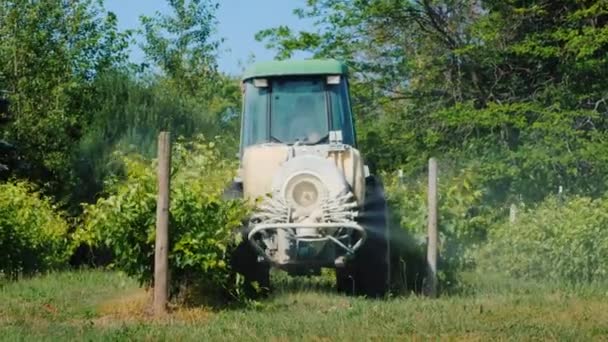 Wilson, NY, USA, juli 2019: Baksidan av Tractor med specialutrustning sprayar vingården med herbicider. — Stockvideo