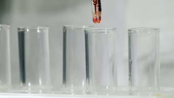 Processes with blood tests, samples drip into test tubes — Stock Video