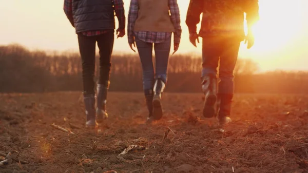 A team of farmers goes ahead across the field towards the rising sun