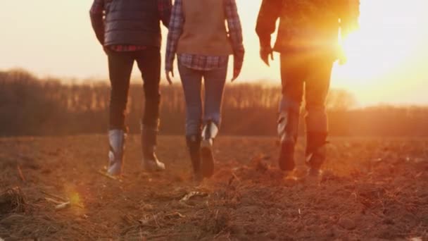 Vista trasera de tres granjeros irreconocibles caminando hacia adelante a lo largo de un campo arado al atardecer . — Vídeos de Stock