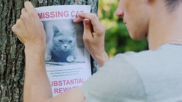 Человек прикрепляет объявление о пропаже кота — стоковое видео