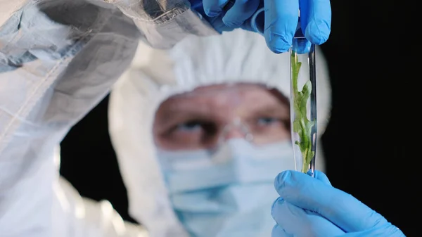 Ein Forscher im Schutzanzug betrachtet ein Reagenzglas mit einer Pflanzenprobe. Konzept der genetischen Forschung — Stockfoto