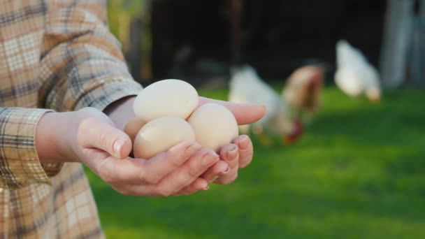 Os agricultores mãos segurar alguns ovos no quintal de sua fazenda, galinhas pastam no fundo — Vídeo de Stock