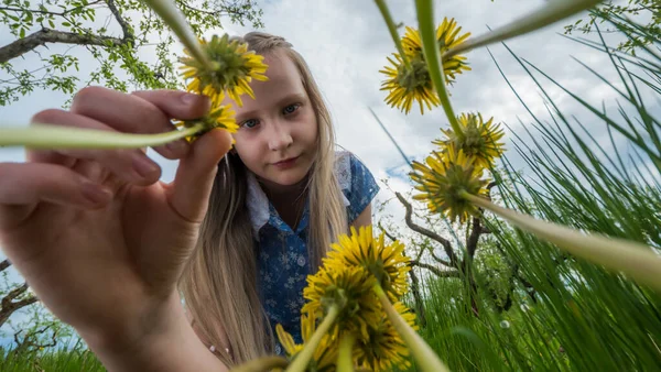 The girl rips off the dandelion. Extra low angle shot — Stock Photo, Image