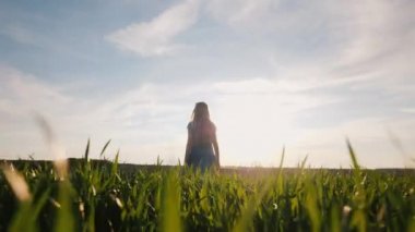 Bir kız batan güneşin ışınları altında resim gibi zeminde yürür. Arka görünüm