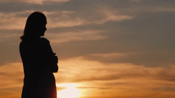 Silhouette d'une jeune femme seule au coucher du soleil regardant au loin. Vue arrière — Video