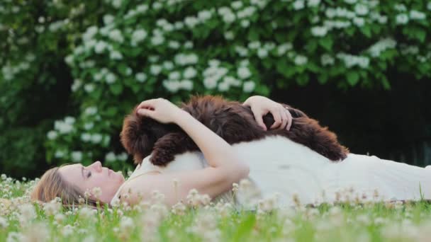 Genç hamile kadın çimenlerde rahatlar, evcil hayvanıyla oynar. — Stok video