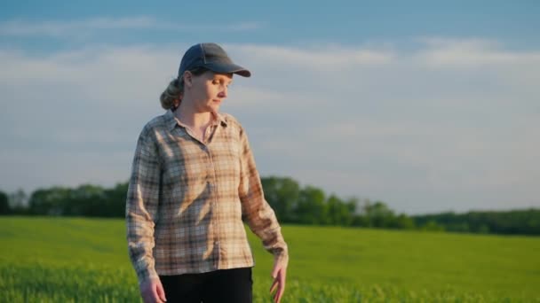 Agricultora camina entre los campos de trigo en un día claro de verano — Vídeos de Stock