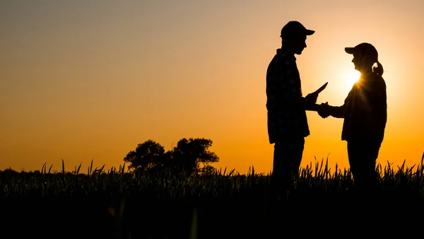 Farmáři si potřesou rukou na malebném místě na poli. Koncepce agrobyznysu a obchodu — Stock fotografie