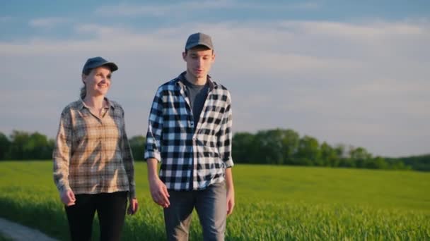 Zwei Bauern gehen zwischen den grünen Weizenfeldern umher, kommunizieren — Stockvideo