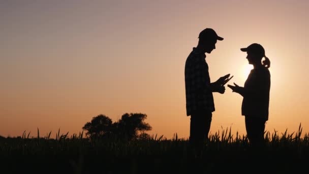 Farmers shake hands in a picturesque spot on the field. Agribusiness and deal-making concept — Stock Video